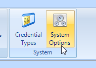 System Options Icon